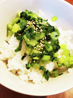 野沢菜のごま油炒め-レシピのメイン写真