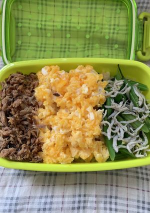 三色そぼろ弁当（20231113）-レシピのメイン写真