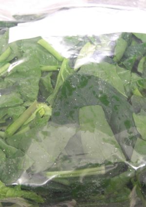 ほうれん草 長持ち保存-レシピのメイン写真