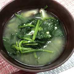รูปของ 【郡山女子大】ほうれん草と椎茸のみそ汁