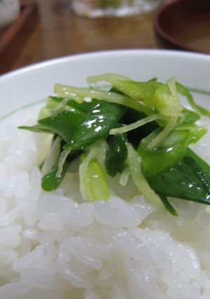 ご飯のお友に☆塩ネギしょうが-レシピのメイン写真