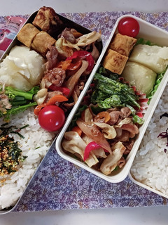 野菜炒め弁当(11.16)-レシピのメイン写真