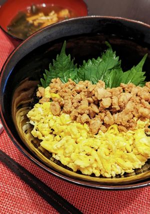 フライパン1つ☆彩り綺麗な鶏そぼろ丼-レシピのメイン写真