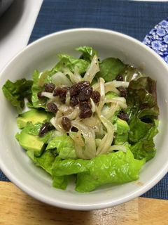 酢玉ねぎ、レーズンとアボカドのサラダ-レシピのメイン写真
