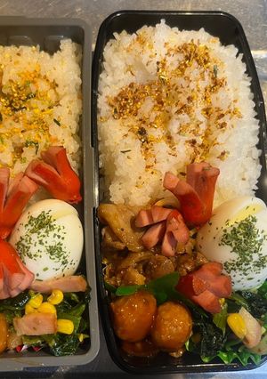 男子満足〜焼肉弁当#高校生　メンズ弁当-レシピのメイン写真