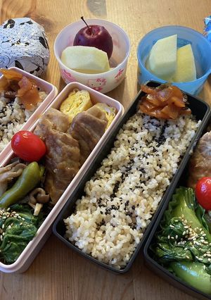 高校生男子弁当401 女子弁当95-レシピのメイン写真