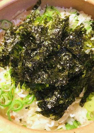 鍋の〆●少しざんねんサラダとしらす雑炊-レシピのメイン写真