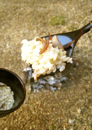 バケツ稲の恵み2023-レシピのメイン写真
