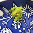 すだち胡椒☆