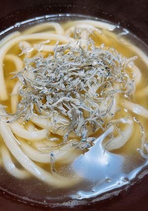超簡単！じゃこ乗せチーズ煮込みうどん-レシピのメイン写真