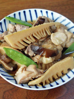 たけのこと鶏肉の煮もの-レシピのメイン写真