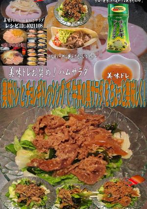 美味ドレと牛丼の具＆チョレギドレでサラダ-レシピのメイン写真