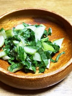 チンゲン菜のサラダ-レシピのメイン写真