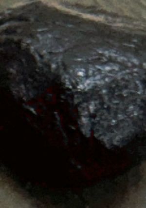 黒ごま餡 こし餡orつぶ餡で-レシピのメイン写真