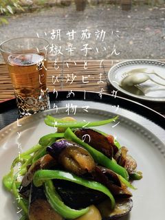 ☆茄子とピーマンのスタミナ炒め☆-レシピのメイン写真