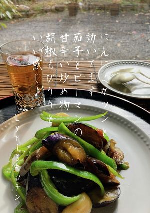 ☆茄子とピーマンのスタミナ炒め☆-レシピのメイン写真