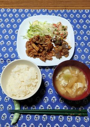 ヨウサマの減塩おやじの新病院夕食3-レシピのメイン写真