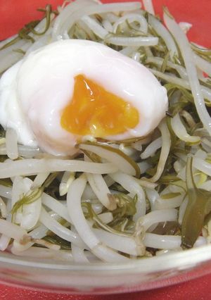温玉のせて♡もやし＋めかぶ-レシピのメイン写真