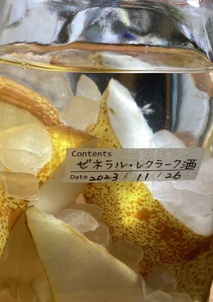 洋梨の果実酒（ゼネラル・レクラーク酒）-レシピのメイン写真