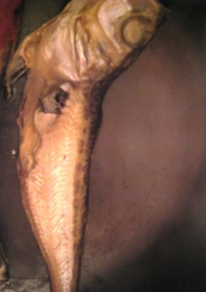 ハタハタの干物の塩焼き-レシピのメイン写真