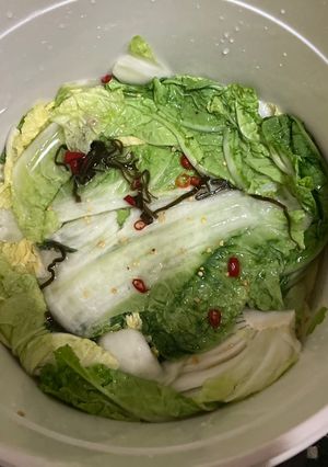白菜の漬け物-レシピのメイン写真
