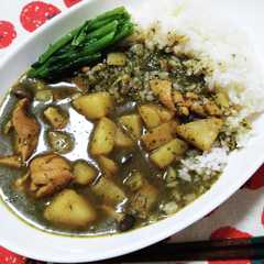 รูปของ 栄養満点！ほんれん草カレー