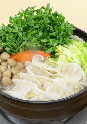豆苗入り餃子鍋-レシピのメイン写真