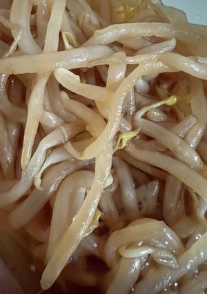 品川区の謎な駄菓子屋「ふじや」風もやし-レシピのメイン写真