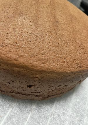 ココアパウダーdeスポンジケーキ-レシピのメイン写真