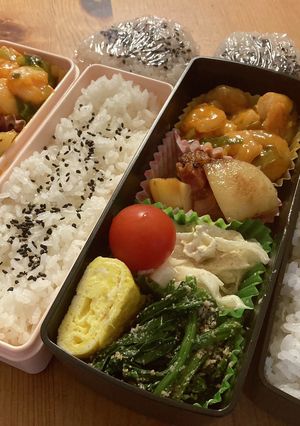 高校生男子弁当406 女子弁当100-レシピのメイン写真
