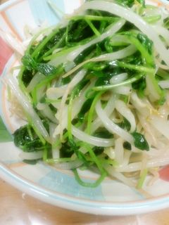 簡単に!豆苗ともやしのナムル-レシピのメイン写真