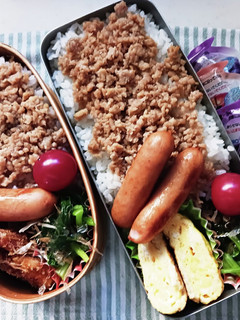 そぼろ弁当(11/29)-レシピのメイン写真