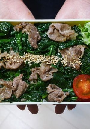 レンジで簡単★ほうれん草と牛肉の丼弁当-レシピのメイン写真