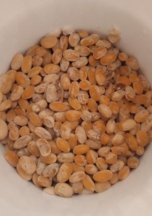 海外　手作り納豆-レシピのメイン写真