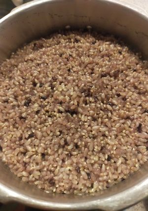 玄米＆黒米で☆ＲＩＣＥＢＥＲＲＹでも-レシピのメイン写真