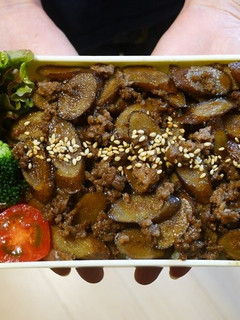 レンジdeごぼうとひき肉の甘醬油丼弁当-レシピのメイン写真