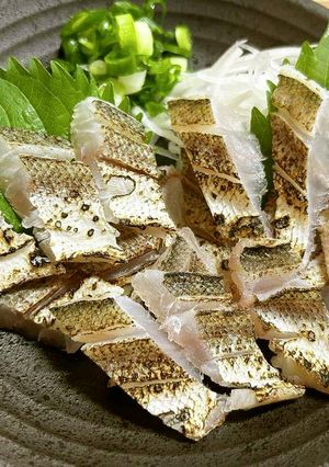 カマス（かます）の炙り刺し～魚の駅生地～-レシピのメイン写真