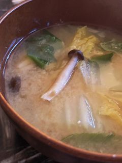 白菜・しめじ・白ねぎのみそ汁-レシピのメイン写真