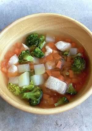 野菜たっぷりトマトスープ(犬用)-レシピのメイン写真