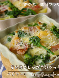 菜の花とじゃが芋のグラタン-レシピのメイン写真