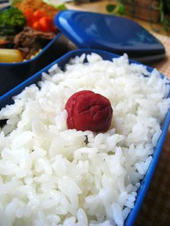Ψ鬼嫁のり弁Ψ-レシピのメイン写真