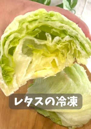 レタスの冷凍-レシピのメイン写真