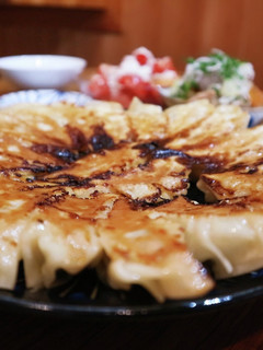うちの定番 白菜しそ餃子-レシピのメイン写真
