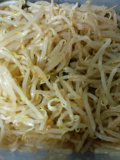 簡単♪万能なもやしのナムル-レシピのメイン写真