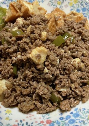 節約！ひき肉と厚揚げポン酢ケチャップ炒め-レシピのメイン写真