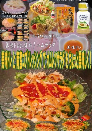 美味ドレと南蛮コブドレでオムレツサラダ！-レシピのメイン写真