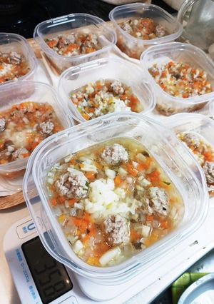犬用/かぶと肉団子のスープごはん-レシピのメイン写真