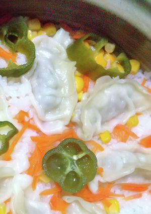 餃子のっけ炊飯-レシピのメイン写真