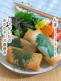 じゃがいものおかかチーズ春巻き-レシピのメイン写真