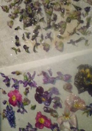 お花見今だけじゃもったいない！花の砂糖漬-レシピのメイン写真